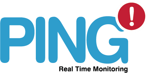 LOGO PING